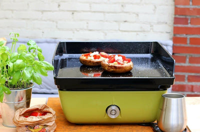 plancha ferleon hanolux  outdoor cooking gas bbq