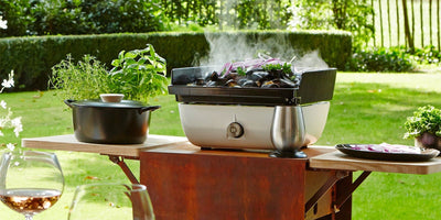 ferleon bbq hanolux patio cooker cortenstaal hout 